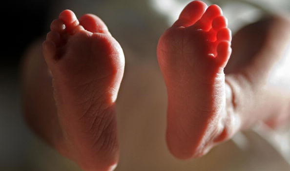 Milano, bambina di nove mesi trovata morta in casa: “Era malnutrita e in pessime condizioni igieniche”
